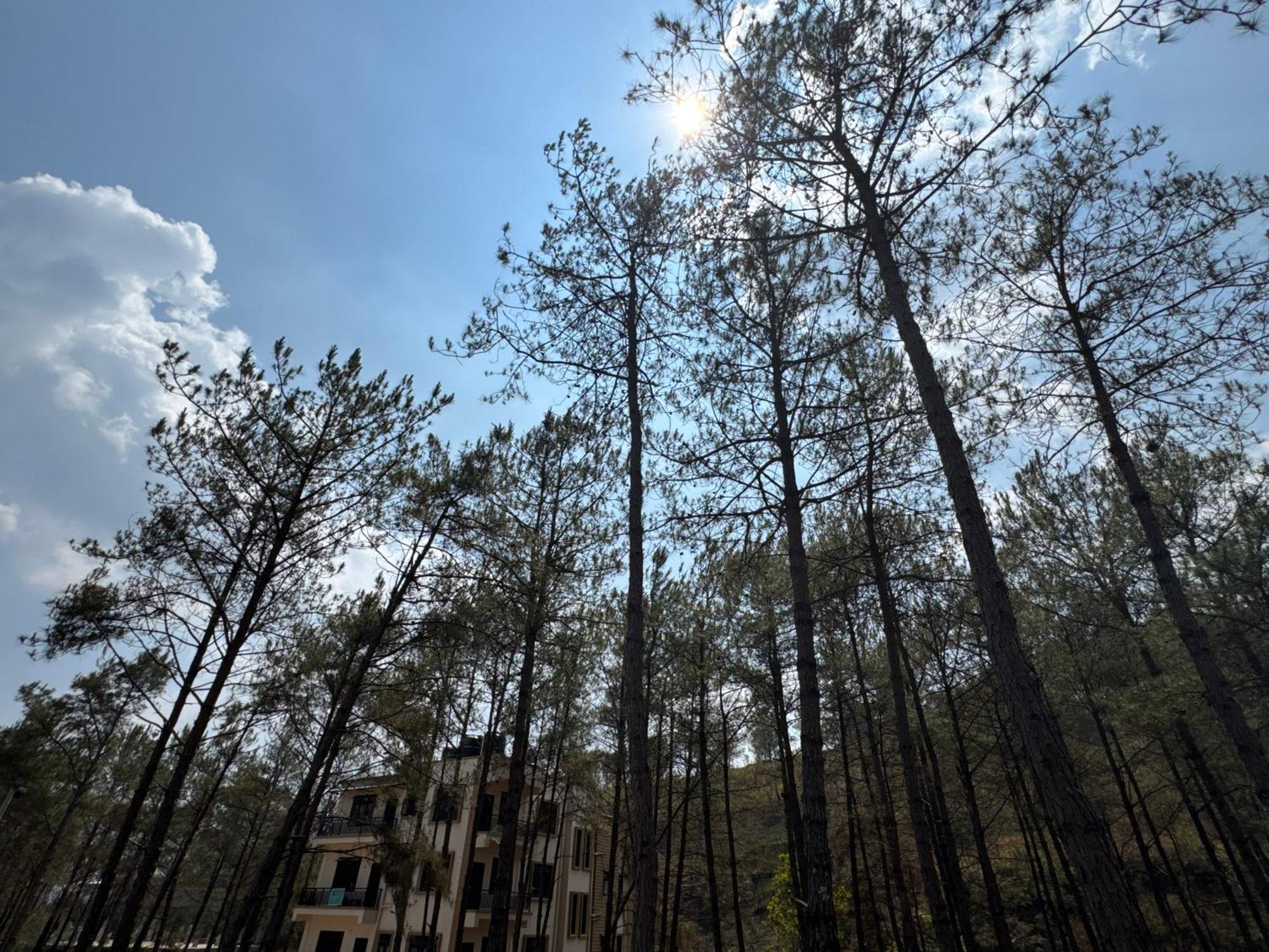 Xtsy Travellers Hostel ชิลลอง ภายนอก รูปภาพ