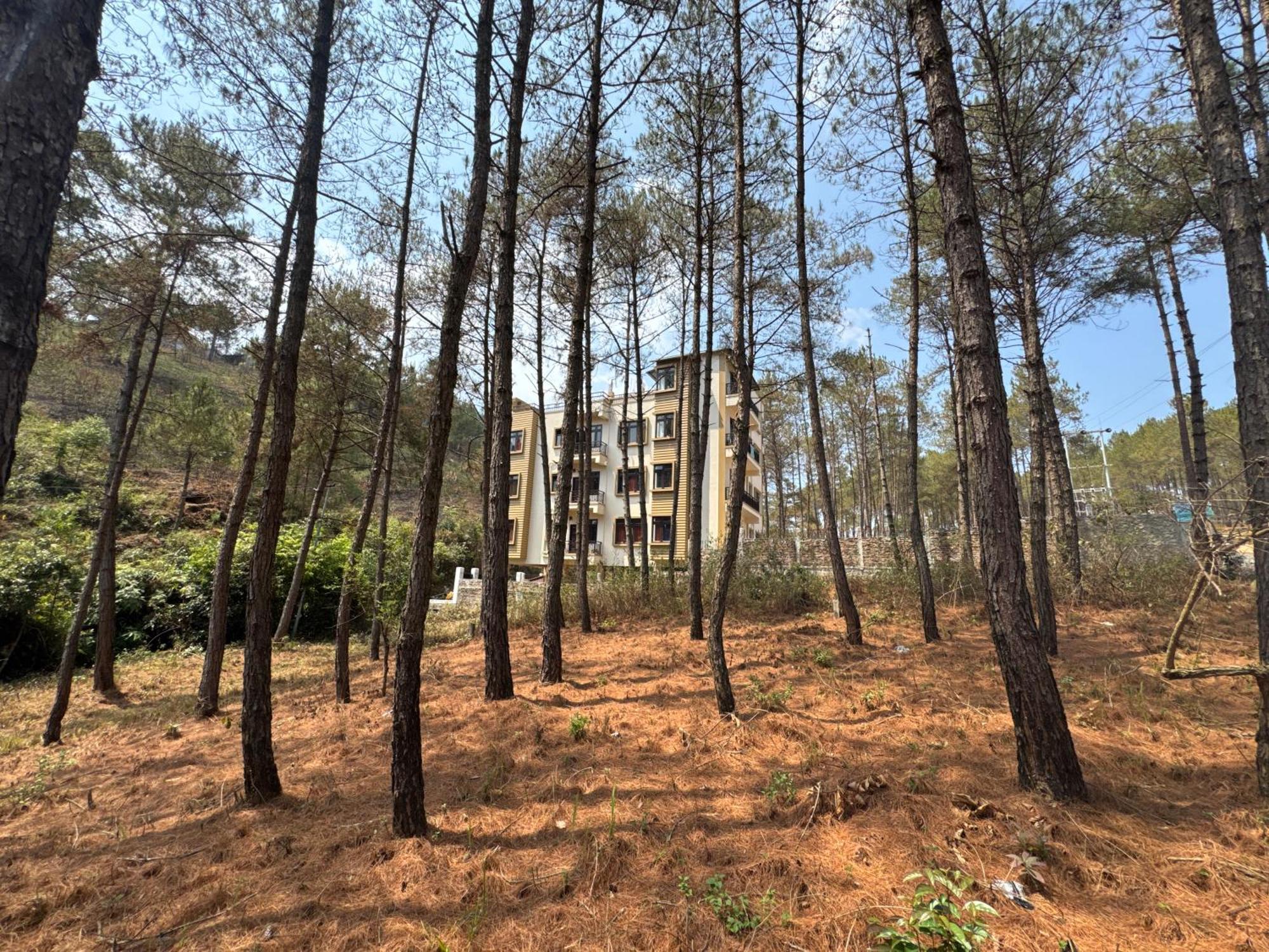 Xtsy Travellers Hostel ชิลลอง ภายนอก รูปภาพ